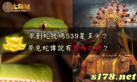 蟾蜍號碼|539夢到蟾蜍是幾號？掌握2個幸運號碼，轉運迎財